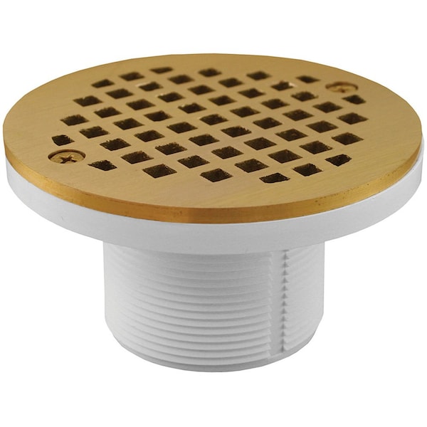 2in. PVC IPS Plastic Spud with 4in. Polished Brass Round Cast Strainer
